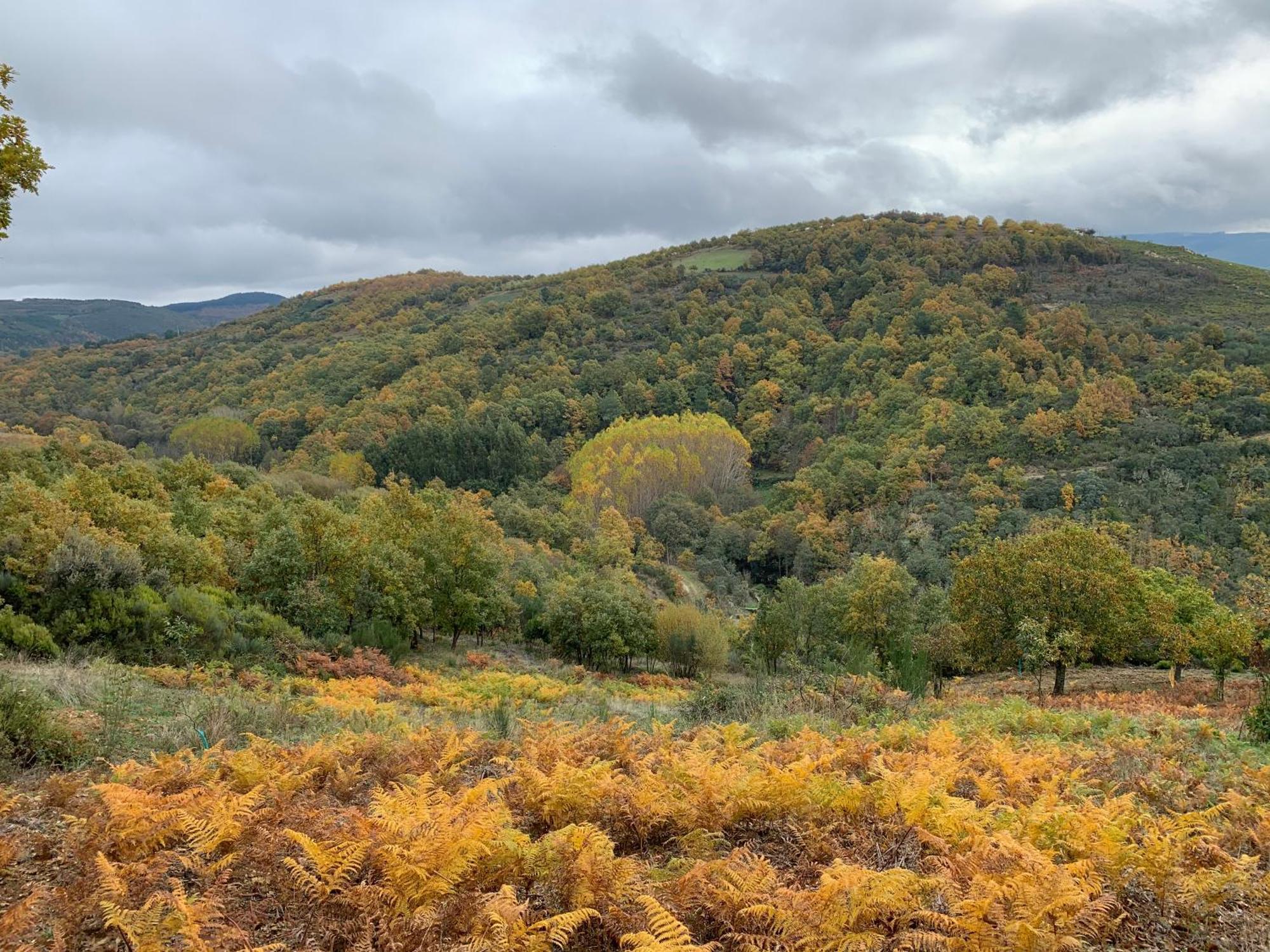 Casa Do Souto - Nature & Experiences - Turismo Rural Bragança Εξωτερικό φωτογραφία