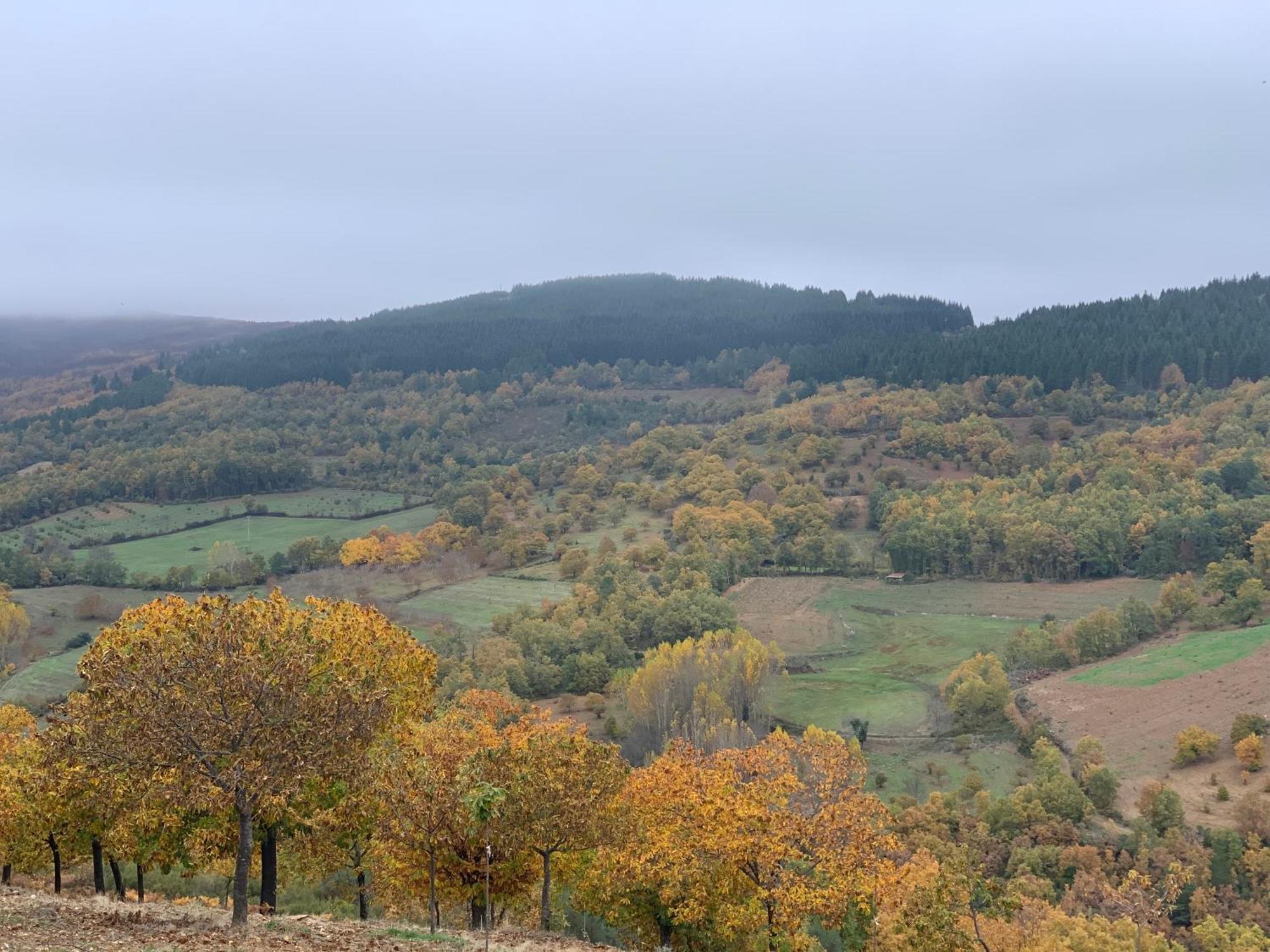 Casa Do Souto - Nature & Experiences - Turismo Rural Bragança Εξωτερικό φωτογραφία