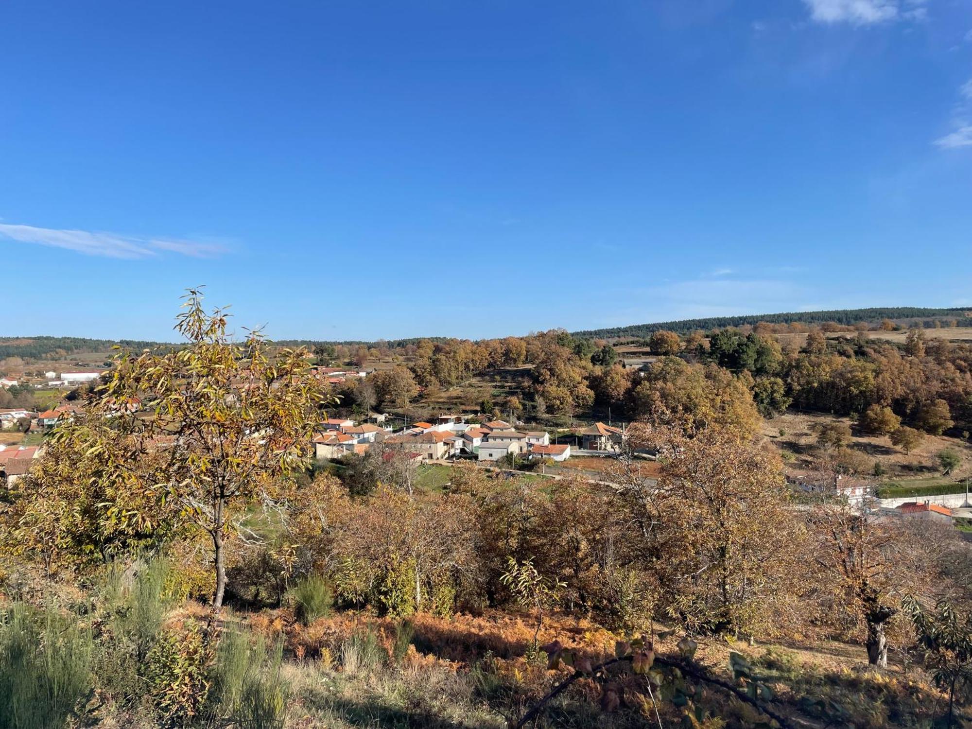 Casa Do Souto - Nature & Experiences - Turismo Rural Bragança Εξωτερικό φωτογραφία