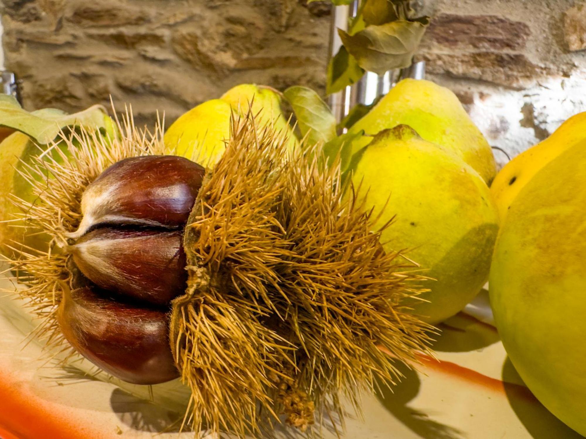 Casa Do Souto - Nature & Experiences - Turismo Rural Bragança Εξωτερικό φωτογραφία